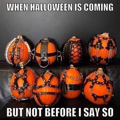 kinky halloween memes|50 Best Halloween Memes So Funny It’s Scary